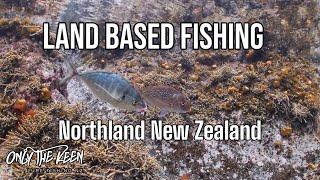 Northland NZ land based fishing. We cook a feed on the beach. #fishing #rockfishing #adventure