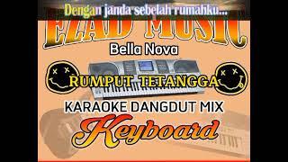 Rumput tetangga karaoke dangdut mix Bella Nova