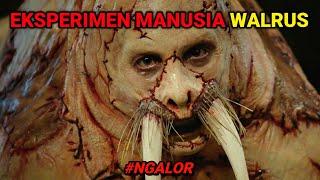 PSIKOPAT GENDENG PERMAK MANUSIA MENJADI WALRUS  #NGALOR FILM TUSK 2014