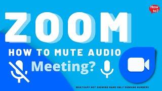 How to Mute and Unmute on Zoom Meeting?