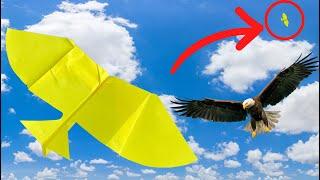 How to Make Paper Airplane that Fly Far Like an Eagle - Over 450 Feet