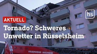 Bäume umgestürzt Dach beschädigt Tornado-Verdacht in Rüsselsheim  hessenschau