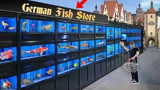 GERMANY EXOTIC FISH STORE TOUR