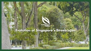 NParks Portraits  Evolution of Singapore’s Streetscapes