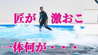 トレーナーさん激おこ？何があった？ 鴨川シーワールド シャチショー KamogawaSeaWorld