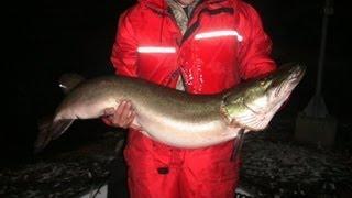 Musky Fishing Canada - NOCTURNAL BOARS - SLOBLANDCHARTERS.CA