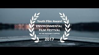 99¢  A Short Film About the Environment