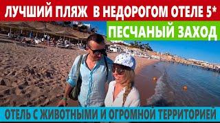 ЕГИПЕТ Domina Coral Bay 5* ЛУЧШИЙ ПЛЯЖ В БЮДЖЕТНОМ ОТЕЛЕ А КАКАЯ ЖЕ ЕДА?