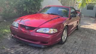 Maaco paint job 9 months later 1997 Ford mustang  SN-95