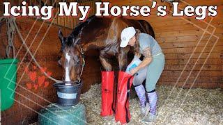 Icing My Horses Legs  How I Ice My Horse + Using Drew Boots to Ice • EQUESTRIAN VLOG