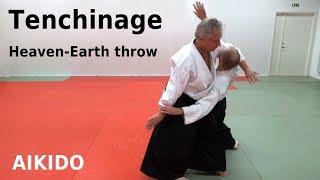 Aikido technique TENCHINAGE against grip and strike attacks by Stefan Stenudd