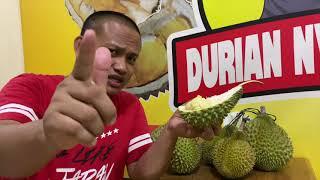 UNBOXING LOKAL NAMLUNGCUMASIH DUREN LOKAL MAHAL - #Durian_Nylekamin #Cumasih #Namlung