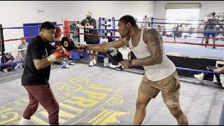 SHAKUR STEVENSON x JARED ANDERSON EXECUTE HAND PADDLE DRILL AT J PRINCE BOXING GYM  TRAINING