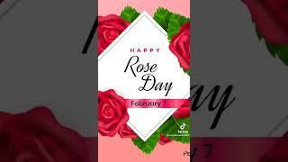 happy new year rose day 2022Tik Tok new video 2022