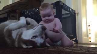 Baby and dog show love for one another