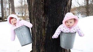 Babiess First Snow Day - Funny Babies Snow TROUBLE  Funny Baby and Pet