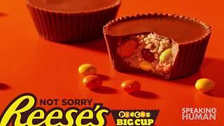 AdWatch Reeses  Not Sorry - Decisions