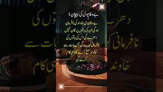 Bewafa Bivi Ki Pehchan Part 1  New Best Hamsafar Quotes