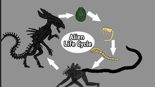 AlienXenomorph Life Cycle  AUTO RPG Anything