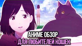 Она и её кот  Она и её кот обзор  Аниме обзор Она и её кот  Kanojo to Kanojo no Neko review