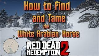 RDR2 - چگونه اسب سفید عرب را پیدا و رام کنیم