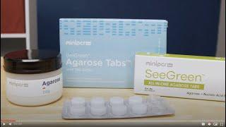 How to cast an electrophoresis gel using All-in-One Agarose Tabs™