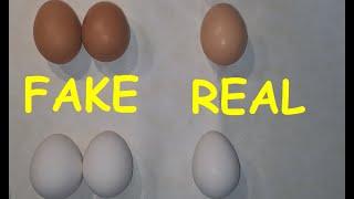 Real vs fake Eggs. How to spot organic chicken eggs from synthetic  non-organic ones