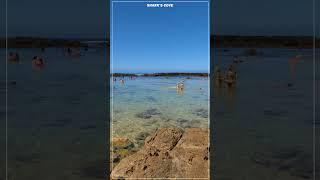 Sharks Cove Snorkeling ️ Best Snorkeling Spot on Oahu ️ Pupukea North Shore  Hawaii John #Shorts