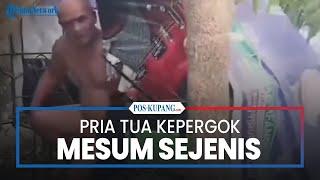 Pria Tua Kepergok Mesum Sejenis