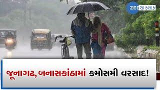 Farmers worried unseasonal rainfall in Junagadh Banaskantha  Zee News