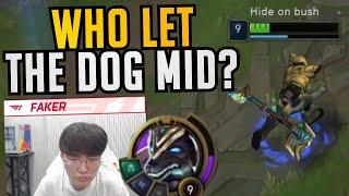 T1 Faker Mid Nasus Outplay  - Best of LoL Stream Highlights Translated