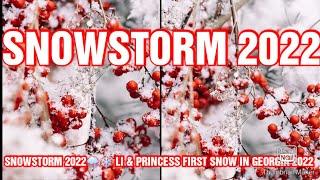 NATURE SNOWSTORM LI AND PRINCESS FIRST SNOW IN GEORGIA 2022 #NatureSnowStorm