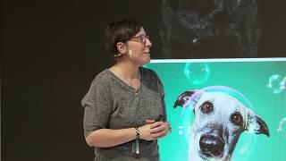 X-Photographer Elke Vogelsang Germany Live Stage in Photokina 2018  FUJIFILM