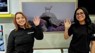 Review Samsung - TV The Frame 2022