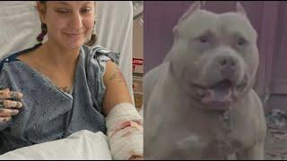 Dog sitter says pit bull she took for a walk in metro Atlanta tried tearing off her arm