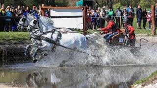 Rudolfův pohár 2023 v Kladrubech nad Labem nabídne opět skvělý sportovní zážitek