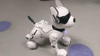 Meet our new robodogs