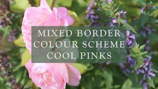 Mixed Border Colour Scheme Cool Pinks by David Austin Roses