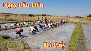 Linh Philip  Ngày Đầu Tiên ĐI CẤY Của Người Dân 2 Bản Trong Việt Phi Farm 