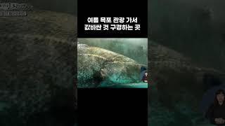 목포에서 여름에 가장 귀한 것들만 취급하는 곳 몸보신까지 보장 #shorts