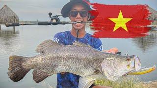 Catching Barramundi in Vietnam  Pond Fishing  Catch and Release