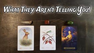 What They Arent Telling You  Pick A Card Love Reading