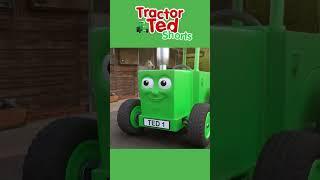 Midge & Merlin Race  Tractor Ted Official Channel #shorts #tractorted #farmstories