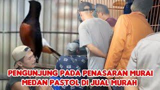 PENGUNJUNG PADA PENASARAN MURAI MEDAN PASTOL DI JUAL 1. JUTA