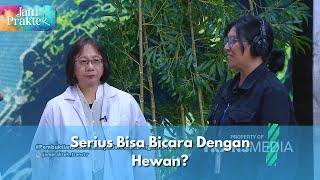 Serius Bisa Bicara Dengan Hewan? Jangan Jangan - JAM PRAKTEK 011024 P3