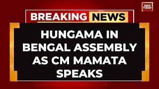 Massive Fireworks As Mamata Banerjee Points Fingers At BJP States In Bengal Assembly  India Today