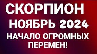 СКОРПИОН ️- ТАРО ПРОГНОЗ ГОРОСКОП НА НОЯБРЬ 2024 ГОД