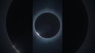 The Total Solar Eclipse of April 8th 2024 #solareclipse