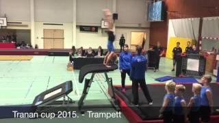 HFG - Trupp pojk - Tranan cup 2015