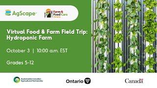 Hydroponic Food and Farm Field Trip